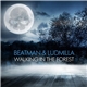 Beatman & Ludmilla - Walking In The Forest